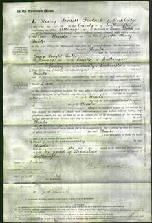 Court of Common Pleas - Ursula Fielder-Original Ancestry