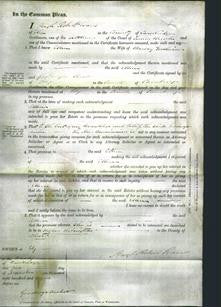 Court of Common Pleas - Ellen Goodwin-Original Ancestry