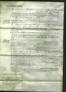 Court of Common Pleas - Elizabeth Stanton and Mary Ann Field-Original Ancestry