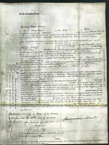 Court of Common Pleas - Elizabeth Layton Morris-Original Ancestry