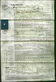 Court of Common Pleas - Wilhelmina Jenkins-Original Ancestry