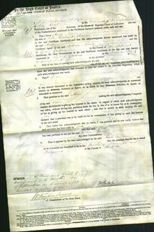 Court of Common Pleas - Anne Thomas-Original Ancestry