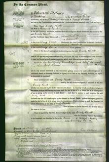 Court of Common Pleas - Emily Buck-Original Ancestry