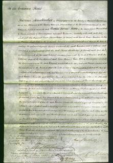 Court of Common Pleas - Caroline Jones-Original Ancestry