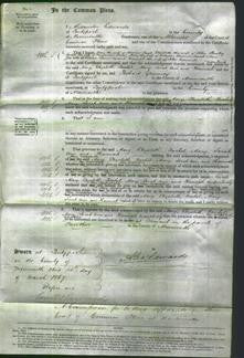 Court of Common Pleas - Mary Lloyd, Elizabeth Anstey, Rachel Jones, Mary Lionard, Sarah Ann Edmunds and Hannah Edmonds-Original Ancestry