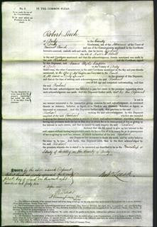 Court of Common Pleas - Rachael Abbott-Original Ancestry