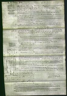 Court of Common Pleas - Eleanor Lamb-Original Ancestry