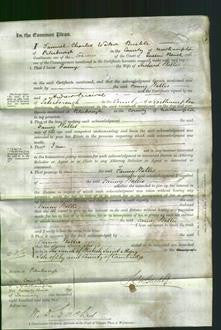 Court of Common Pleas - Fanny Wallis-Original Ancestry