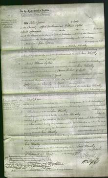 Court of Common Pleas - Jane Wheatley-Original Ancestry