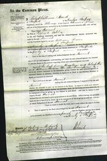 Court of Common Pleas - Harriet Ashley-Original Ancestry