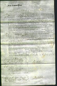 Court of Common Pleas - Emma Rowley-Original Ancestry