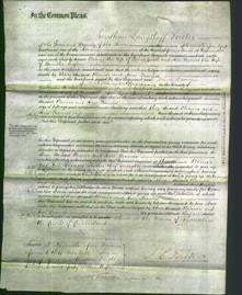 Court of Common Pleas - Eleanor Guest and Ann Frances Lupton-Original Ancestry