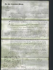 Court of Common Pleas - Rachel Snodgrass-Original Ancestry