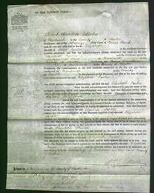 Court of Common Pleas - Elizabeth Furber-Original Ancestry