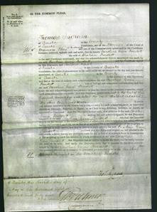 Court of Common Pleas - Caroline Green Burdett-Original Ancestry