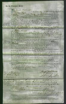 Court of Common Pleas - Mary White and Ann Graham-Original Ancestry