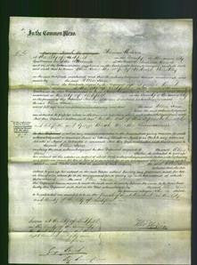 Court of Common Pleas - Ellen Jane Hinckley-Original Ancestry