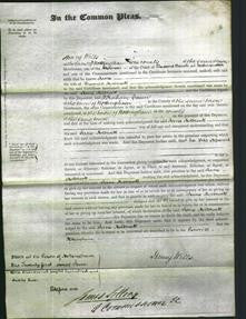 Court of Common Pleas - Jane Holbrook-Original Ancestry