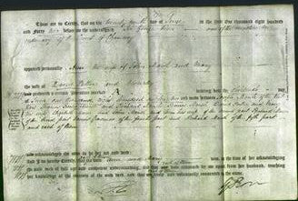 Deed by Married Women - Ann Marsh and Mary Puttee-Original Ancestry