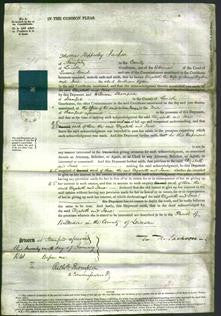 Court of Common Pleas - Elizabeth Ogden and Jane Ogden-Original Ancestry