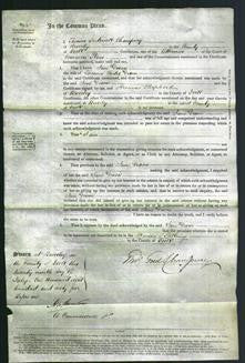 Court of Common Pleas - Jane Dixon-Original Ancestry