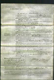 Court of Common Pleas - Annie Margaret Farrar-Original Ancestry