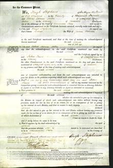 Court of Common Pleas - Selina Thomas-Original Ancestry