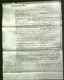 Court of Common Pleas - Sarah Pinches-Original Ancestry