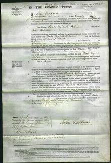 Court of Common Pleas - Phoebe Elizabeth Robinson-Original Ancestry