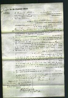 Court of Common Pleas - Catharine Swan-Original Ancestry