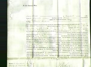 Court of Common Pleas - Mary Hankinson-Original Ancestry