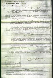 Court of Common Pleas - Alice Thompson-Original Ancestry