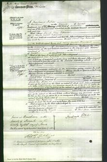 Court of Common Pleas - Sarah Eliza Sapinson-Original Ancestry