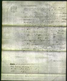 Court of Common Pleas - Fanny Clayton, Ann Mary Aransolo-Original Ancestry