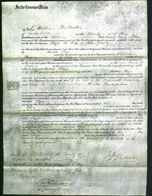 Court of Common Pleas - Eliza Grinley-Original Ancestry