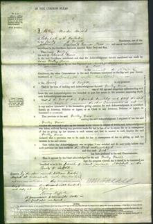 Court of Common Pleas - Melley Nurse-Original Ancestry