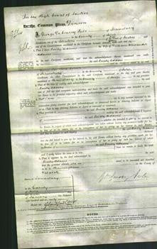 Court of Common Pleas - Emily Adams-Original Ancestry