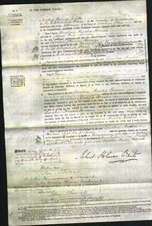 Court of Common Pleas - Caroline Amelia Browne-Original Ancestry