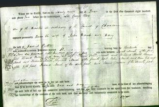 Deed by Married Women - Ann Marsh and Mary Puttee-Original Ancestry