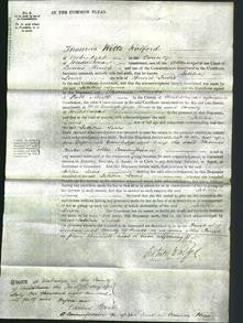 Court of Common Pleas - Loetitia Lewis-Original Ancestry