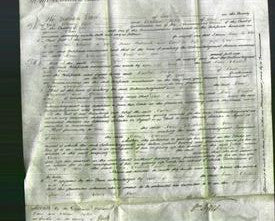 Court of Common Pleas - Mary Firth, Elizabeth Bulkworth and Anne Green-Original Ancestry