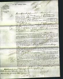 Court of Common Pleas - Mary Ann Angerstein-Original Ancestry