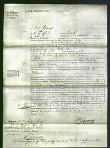 Court of Common Pleas - Eliza Rickaby-Original Ancestry