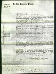 Court of Common Pleas - Mary Stannard-Original Ancestry