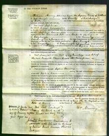 Court of Common Pleas - Sophia Edwardes-Original Ancestry