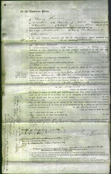 Court of Common Pleas - Susannah Jones-Original Ancestry