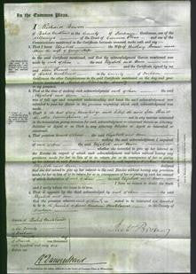 Court of Common Pleas - Elizabeth Brown and Ann Hope-Original Ancestry