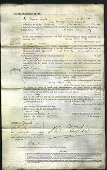 Court of Common Pleas - Anne Selby-Original Ancestry