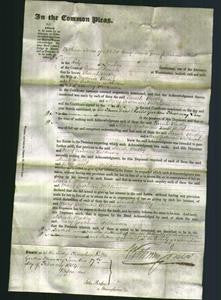 Court of Common Pleas - Sarah Westley and Mary Goodman Wilkinson-Original Ancestry