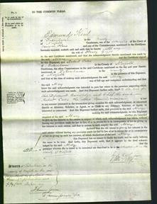 Court of Common Pleas - Mary Goggs-Original Ancestry